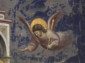 Angel, from the Presentation of Christ in the Temple c.1305