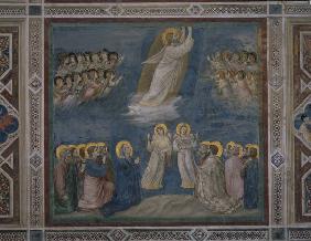 Giotto, Christi Himmelfahrt