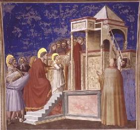 The Presentation of the Virgin at the Temple c.1305