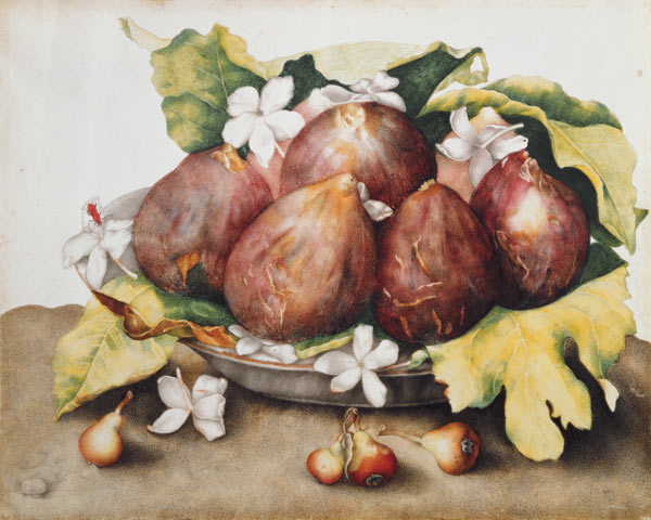 Figs on Leaves von Giovanna Garzoni