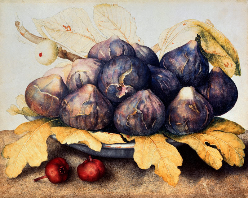 Figs (Schale mit Feigen) von Giovanna Garzoni