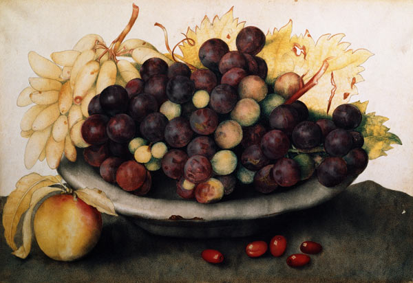 G.Garzoni, Schale mit Weintrauben von Giovanna Garzoni