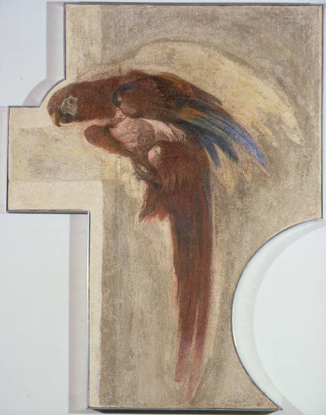 G.D.Tiepolo, Papagei von Giovanni Domenico Tiepolo