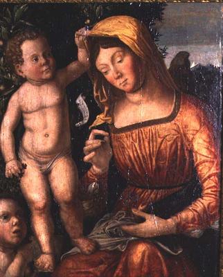 Madonna Sewing von Giovanni Francesco Caroto