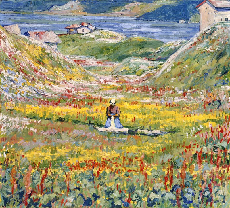 Flowering Meadows in Maloja; Bluhende wiesen bei Maloja von Giovanni Giacometti