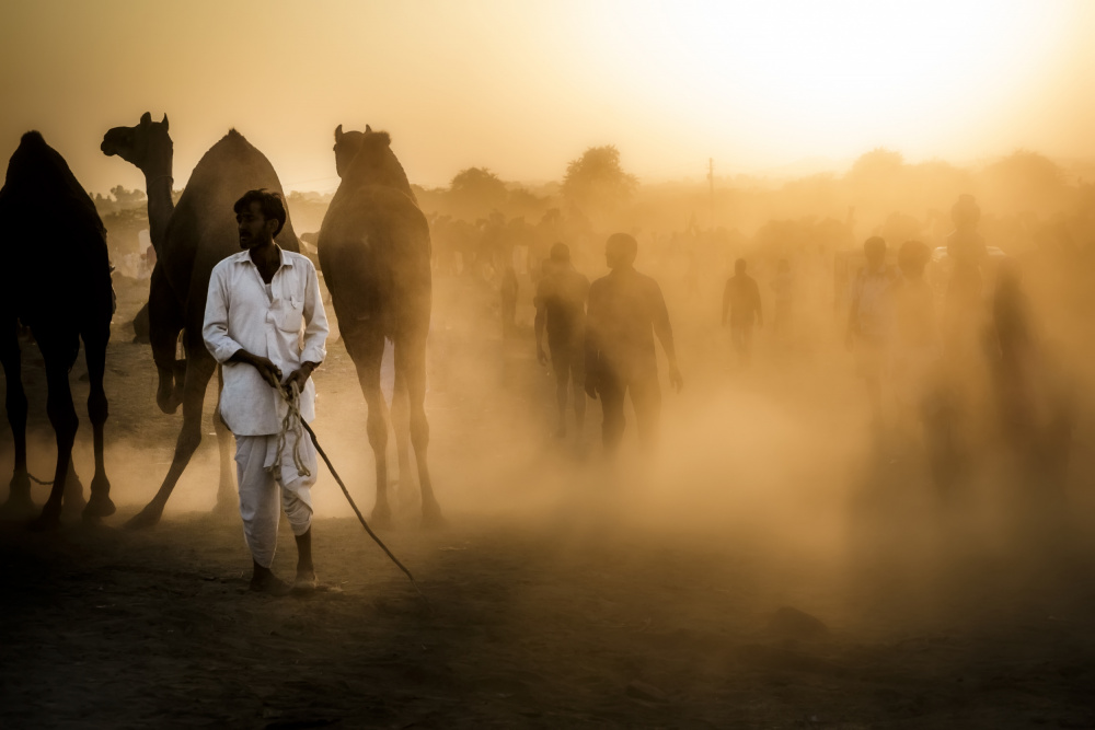 Mercato dei Camelli in Pushkar von Gloria Staffa