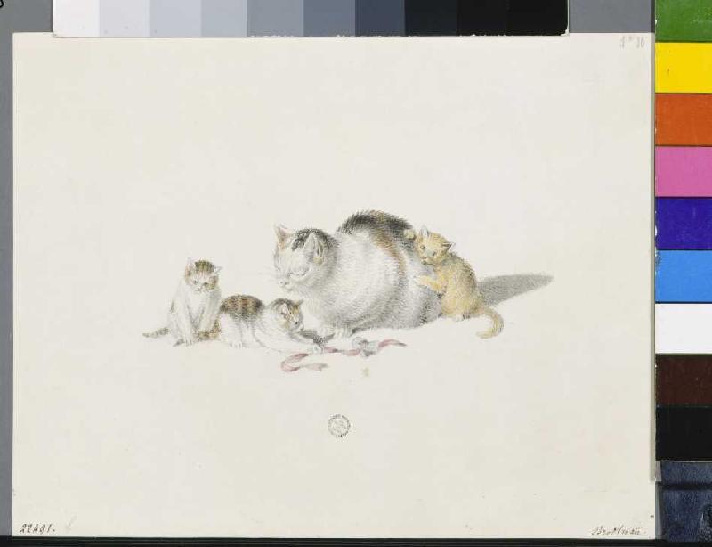 Schlafende Katzenmutter mit drei Jungen von Gottfried Mind