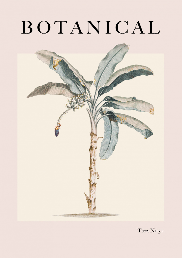Botanische Palme von Grace Digital Art Co
