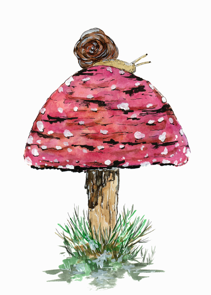 Fly Agaric Toadstool And Snail von Sebastian  Grafmann