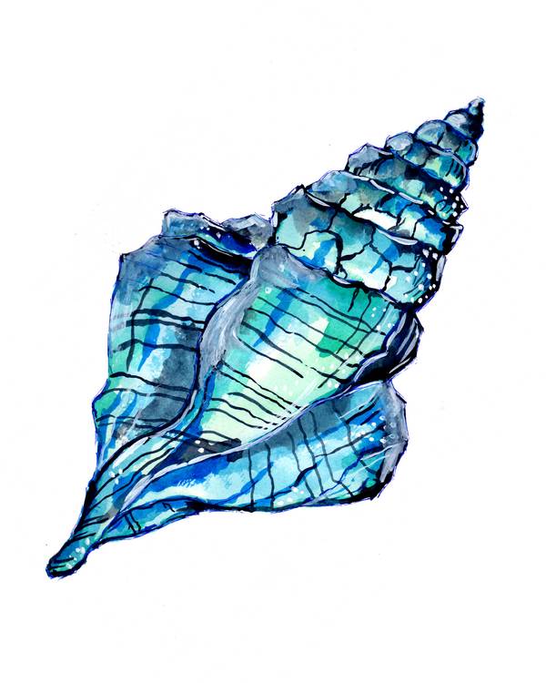 Blaue Seemuschel von Sebastian  Grafmann