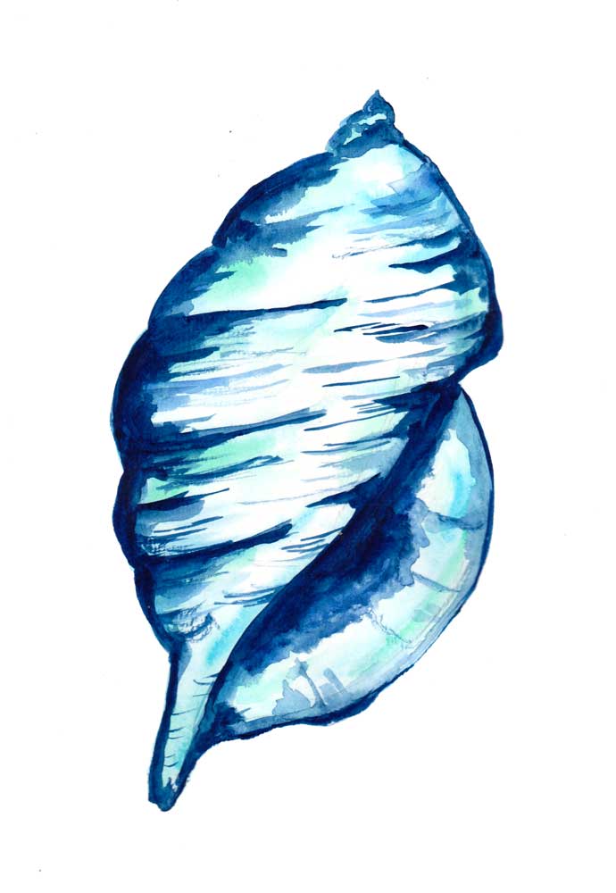 Blue Seashell von Sebastian  Grafmann