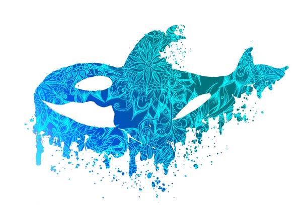 Blue Floral Orca Killerwhale von Sebastian  Grafmann