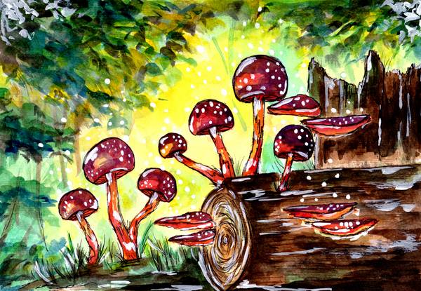 Red Mushrooms in the Forest von Sebastian  Grafmann