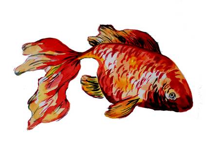 Roter Goldfisch 2022