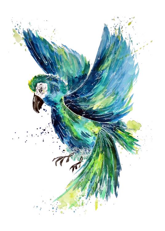 Turquoise Watercolor Parrot von Sebastian  Grafmann