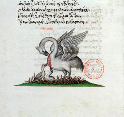 Ms 3401 A Pelican Piercing its Breast to Feed its Young, from a Bestiary by Manuel Philes, 1566 (vel von Greek School, (16th century)