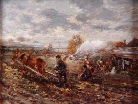 Winter Ploughing