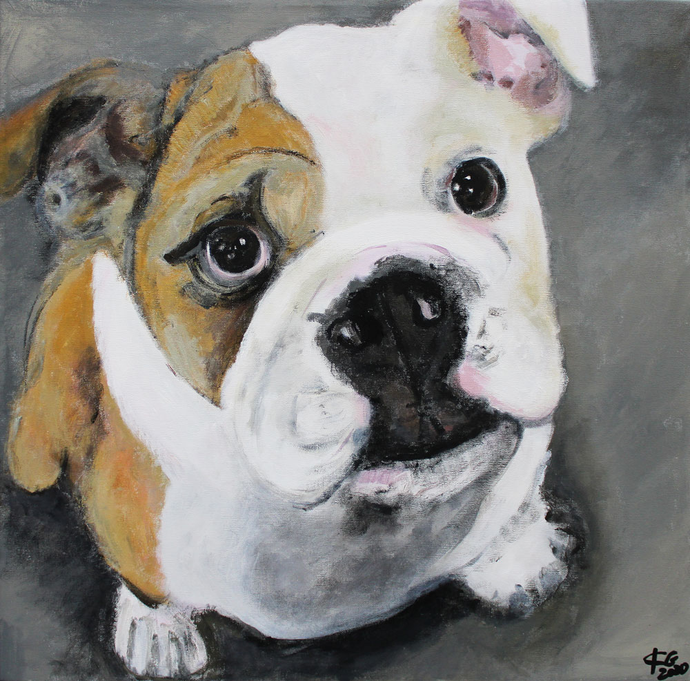 Bulldogge von Karin Greife