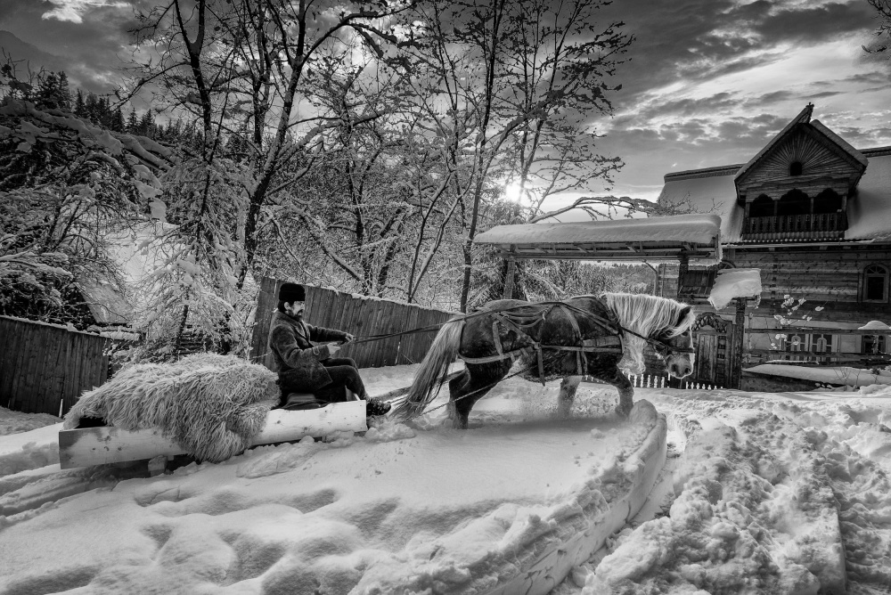 Harter Winter von Grigore Roibu