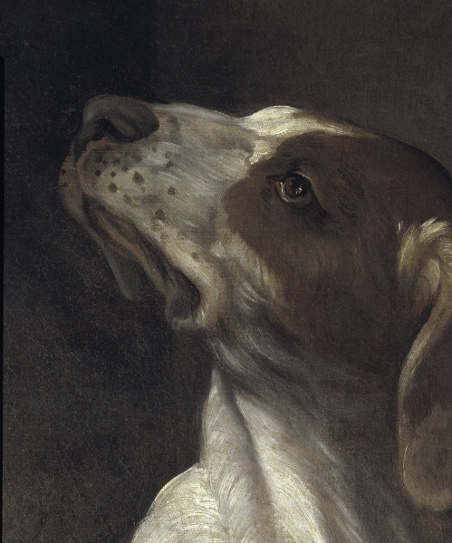 Reni / St.Roche / Detail: dog / c.1617 von Guido Reni