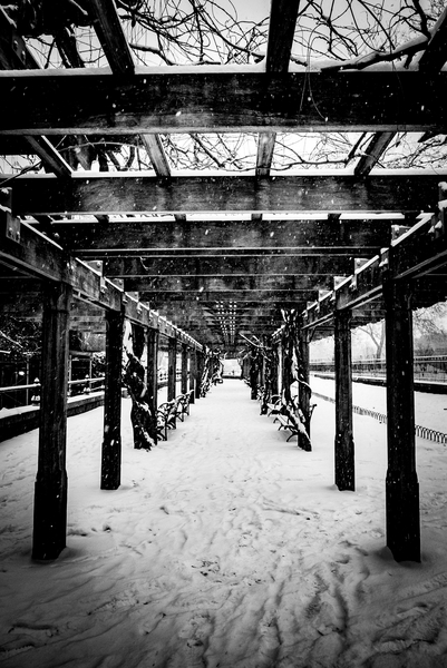 Central Park Winter von Guilherme Pontes