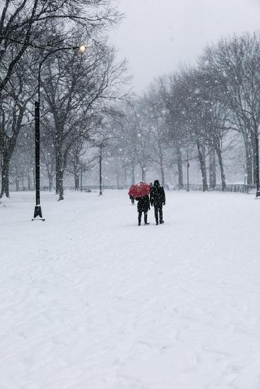 Central Park Winter Lovers 2017