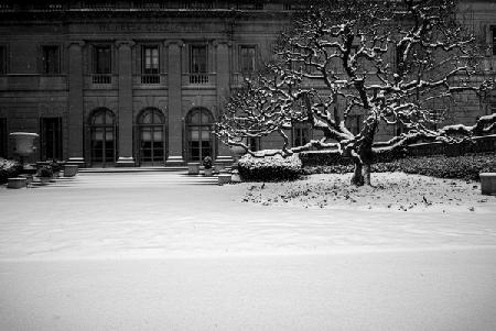 Frick Collection Winter N¬∫2 2017