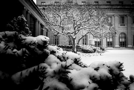 Frick Collection Winter N¬∫3 2017