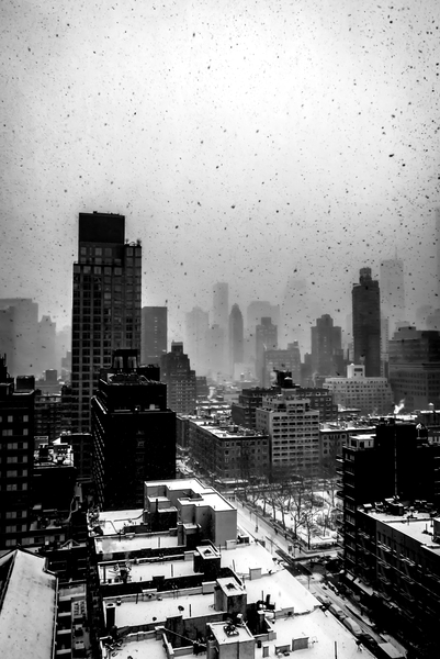 Heavy New York Snow von Guilherme Pontes