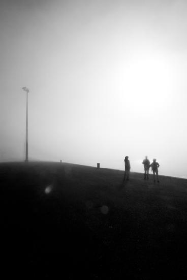 Tourists in the Fog 2018