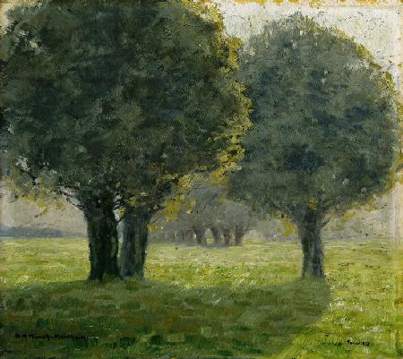 Baumgruppe im Sonnendunst. 1913