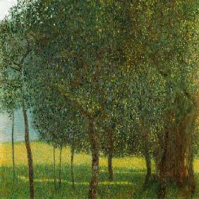 Fruit Trees 1901