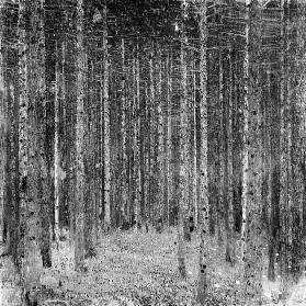 Fir Forest I 1909