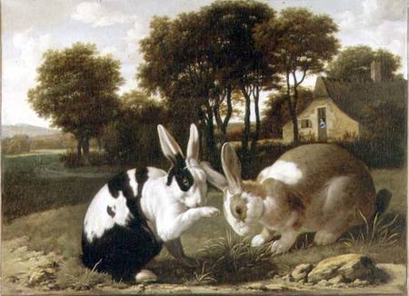Two Rabbits in a Landscape von Haarlem School