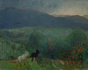 Aufziehendes Unwetter, Telemark 1896