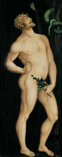 Adam. 1525
