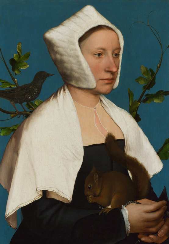 Lady with a Squirrel and a Starling von Hans Holbein der Jüngere