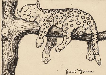 Zeichnung zur Fibel: Leopard