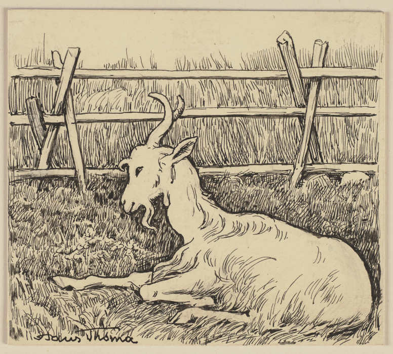 Zeichnung zur Fibel: Ziege von Hans Thoma