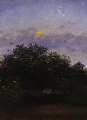 Blühende Holunderecke im Mondschein Um 1825