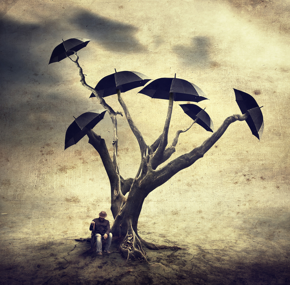 Wartender Mann und der Regenschirmbaum von Hari Sulistiawan