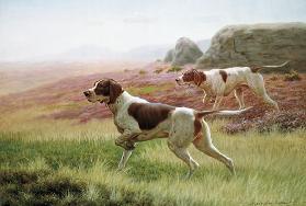 Pointers in a Landscape