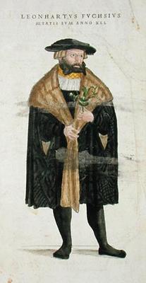Portrait of of the author age 41, from 'De Historia Stirpium Commentarii Insignes', by Leonard Fuchs von Heinrich Fullmaurer