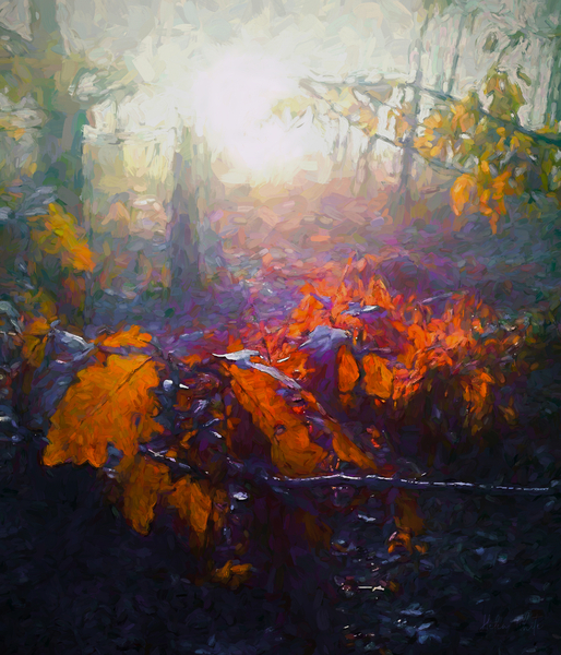 Autumn Forest von Helen White