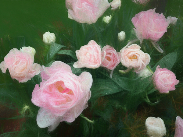 Bed of Roses von Helen White