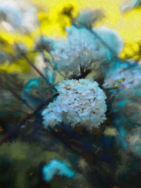 Blooming Maytime von Helen White