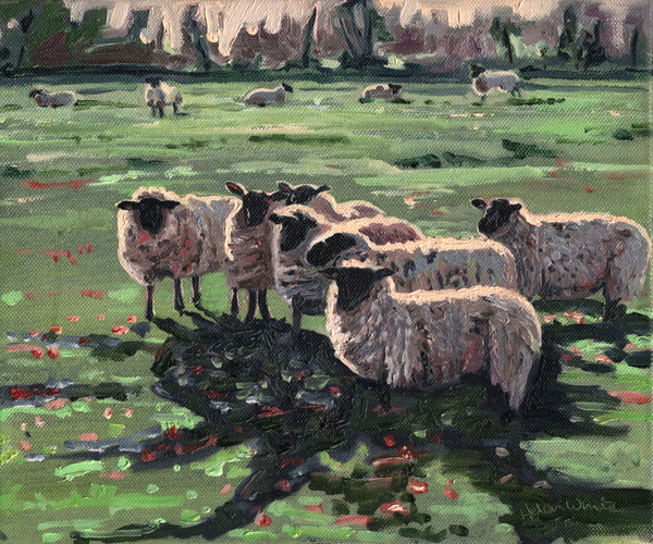 Curious Flock I von Helen White