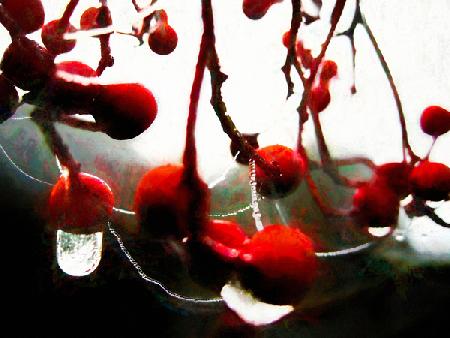 Lush Berries 2017