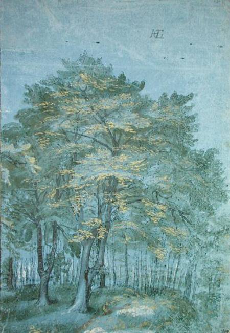Group of Trees in a Wood von Hendrick Goltzius