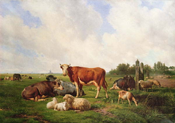 Sheep and Cattle in a Field von Hendrick van de Sande Bakhuyzen